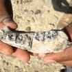 Эфиопская находка отодвинула историю человечества на 400 тысяч лет назад